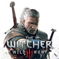 Detailed image of The Witcher 3: Wild Hunt game cover art with vibrant fantasy artwork and character illustrations.