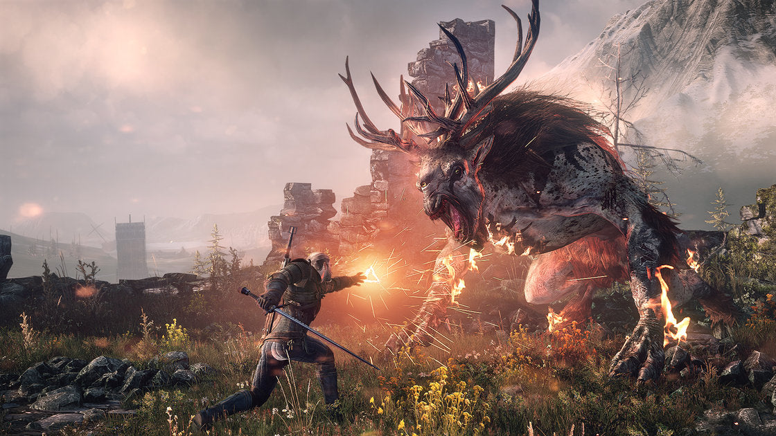 The Witcher 3: Wild Hunt video game box art showing the main character Geralt with a sword and a monster in the background.